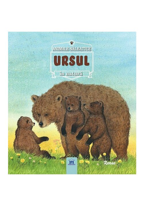 URSUL- Animale salbatice în natura