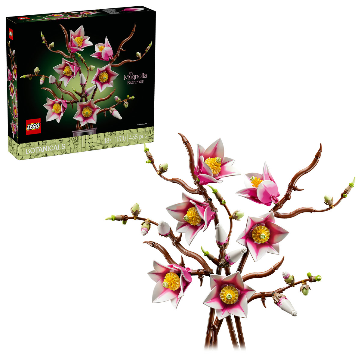 Ramuri de magnolie