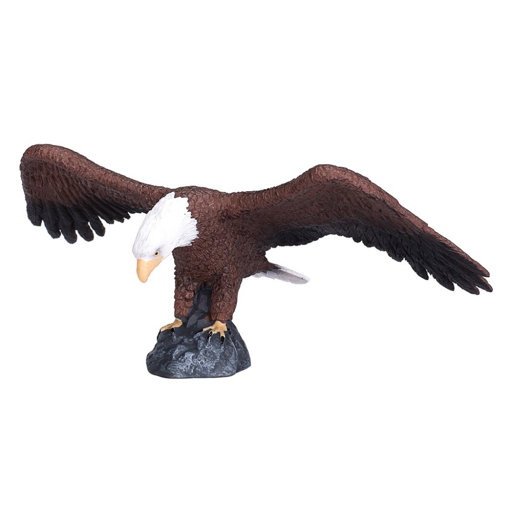 Mojo Águila Calva