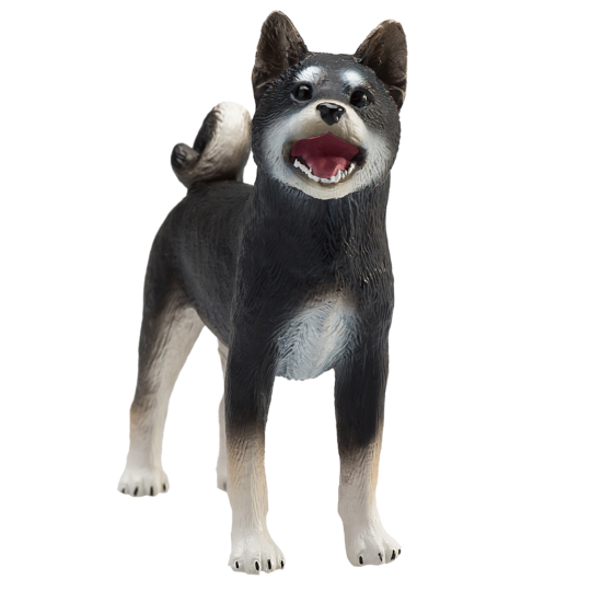 Mojo Cane shiba-inu nero
