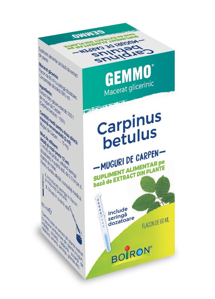 CARPINUS BETULUS GEMMO 60 ML