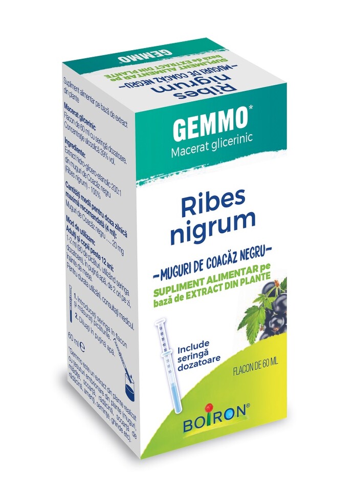 RIBES NIGRUM GEMMO 60 ML