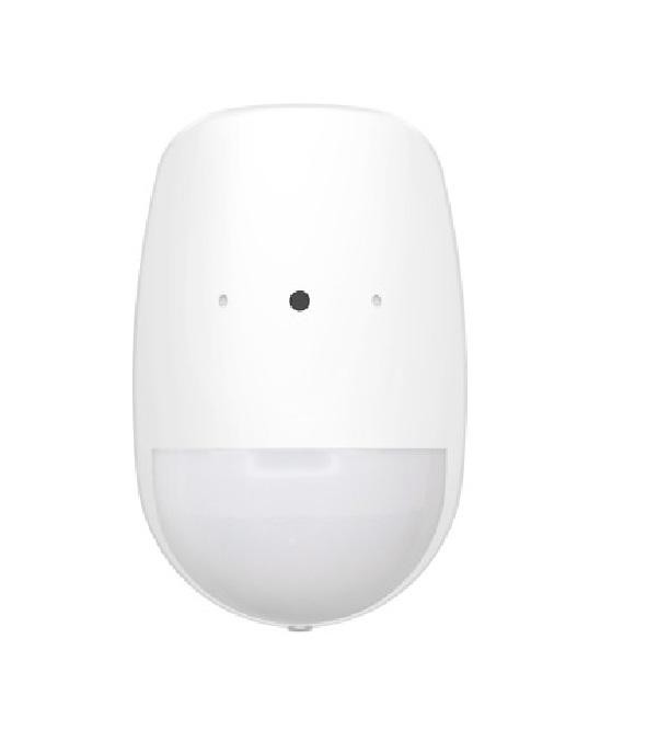 DETECTOR CU CAMERA WIRELESS 866MHZ