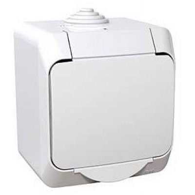 Priza simpla aparenta cu capac Cedar Plus Schneider WDE000541